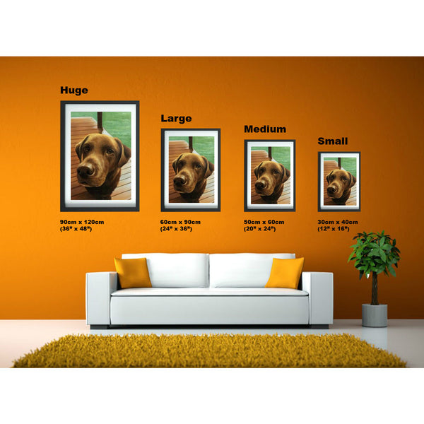 Portrait Size 20 X 24&quot; | PawstoPortraits